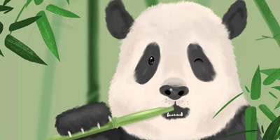 首個(gè)中國大熊貓國際形象出爐，網(wǎng)友看后不經(jīng)“噗”的笑出聲
