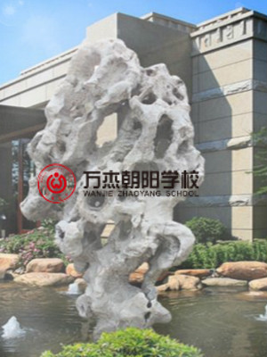萬杰朝陽學(xué)校網(wǎng)頁設(shè)計(jì)