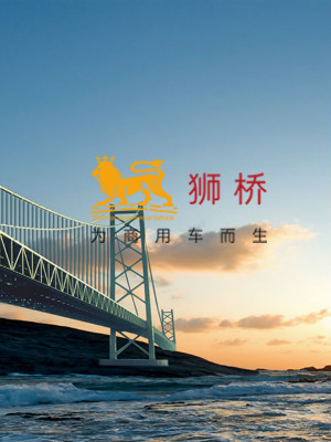 獅橋資本網(wǎng)頁設(shè)計(jì)